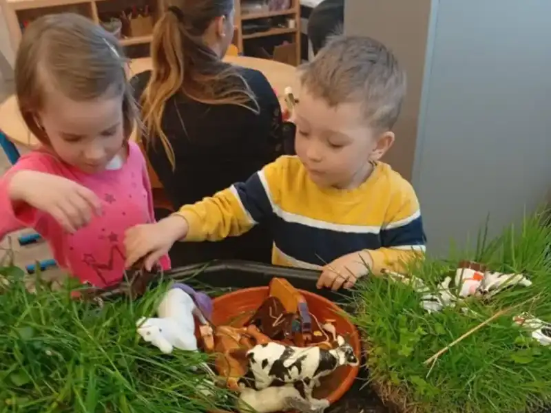 Venkovský život