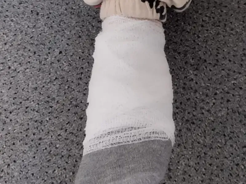 Zájmové dny