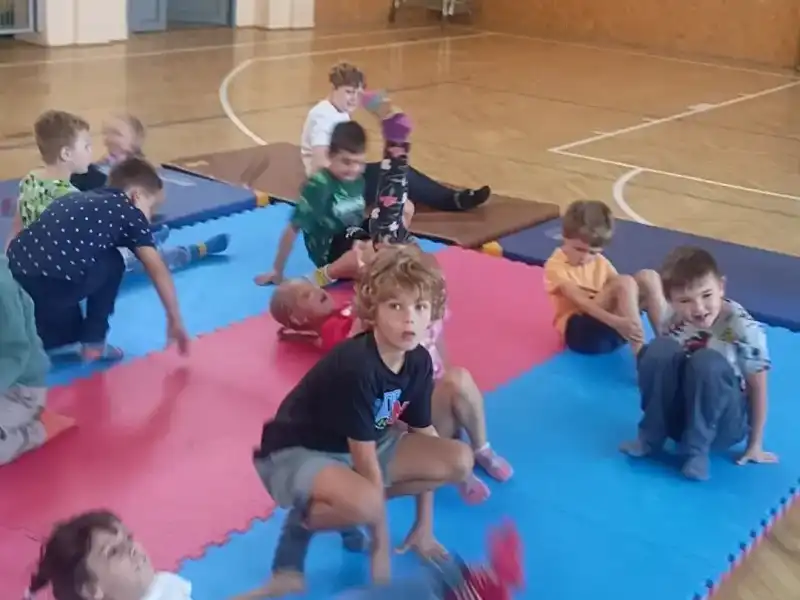 Sportovní kroužky
