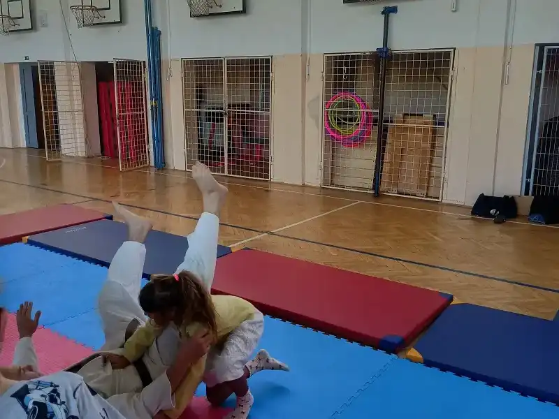 Sportovní kroužky