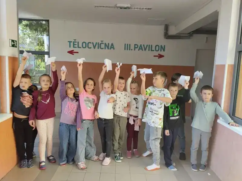 🦜Ptáci kolem nás