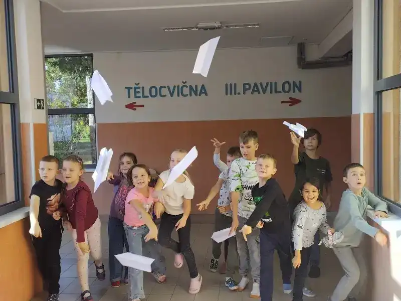 🦜Ptáci kolem nás