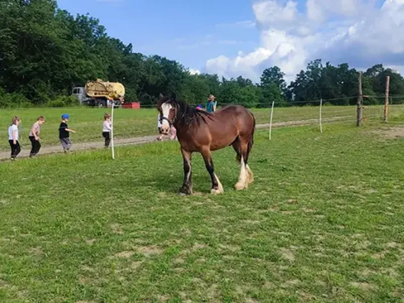 malý farmář