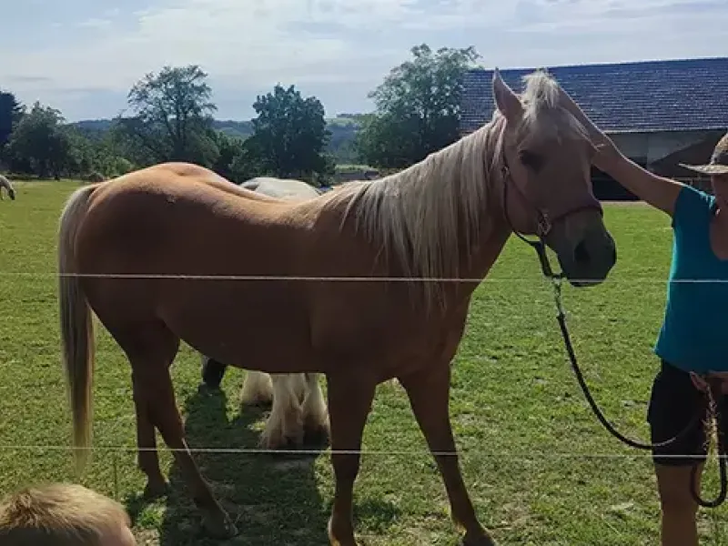 malý farmář