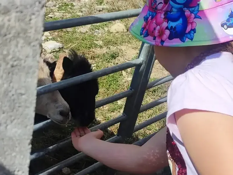 malý farmář