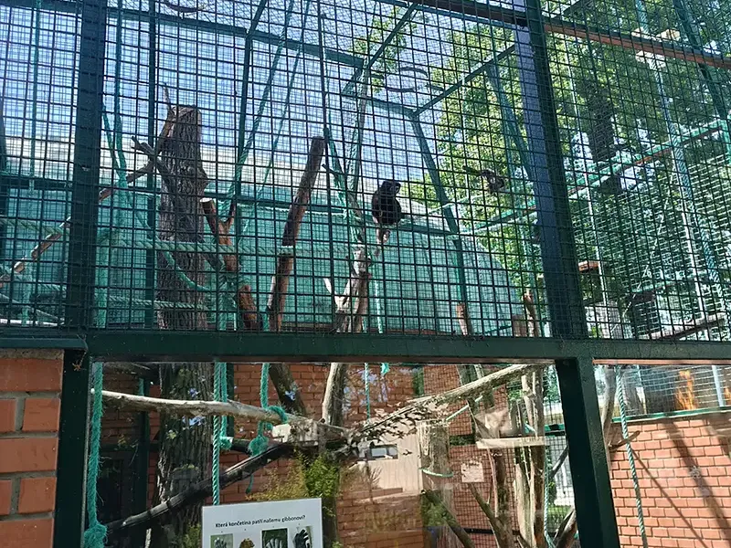 školní výlet