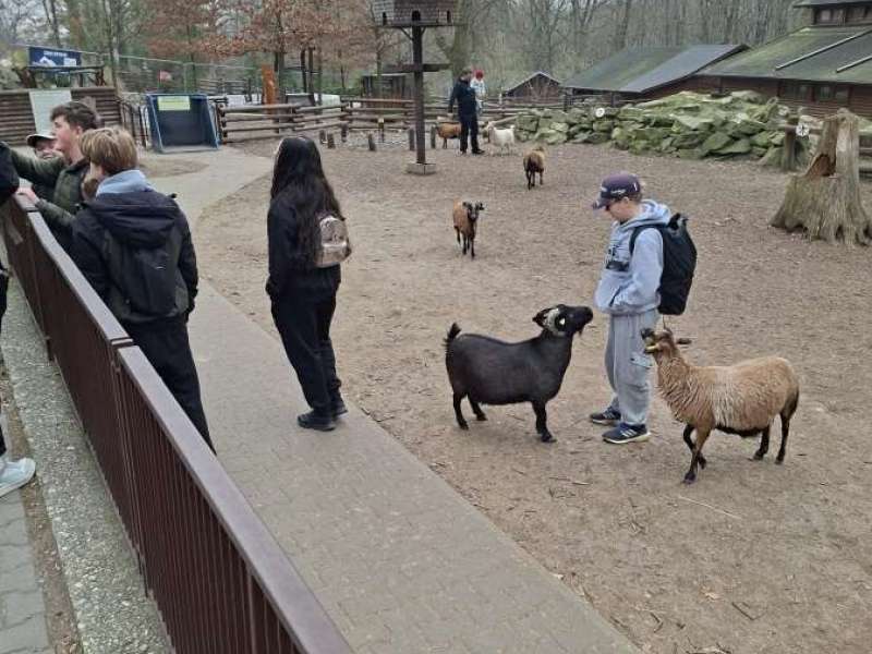 Velká cena zoo
