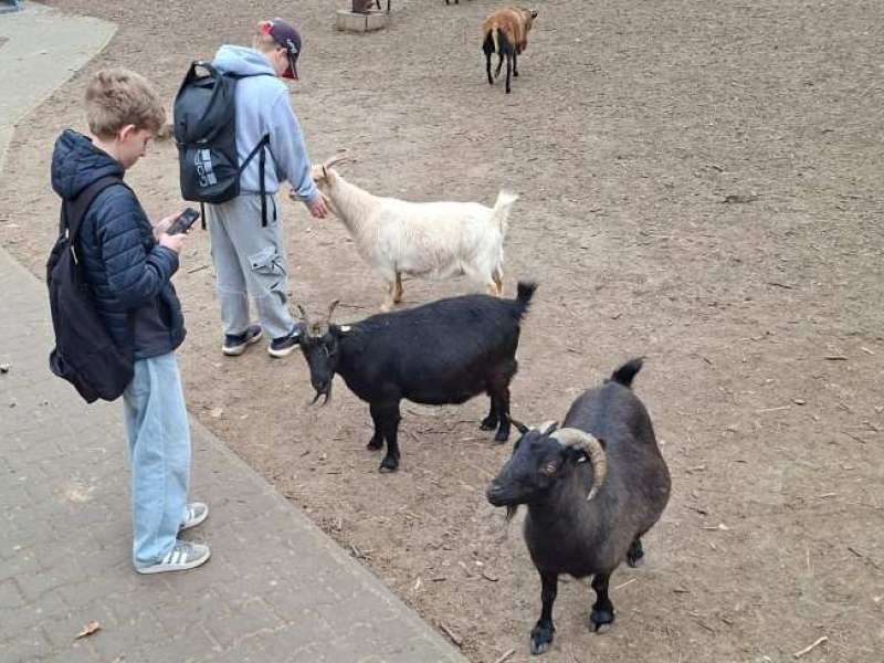 Velká cena zoo