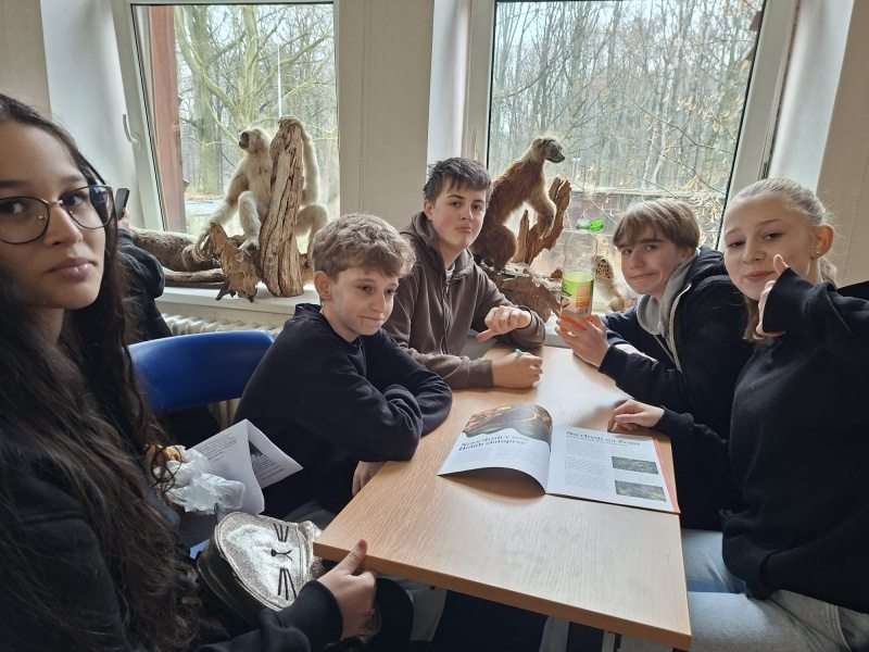 Velká cena zoo