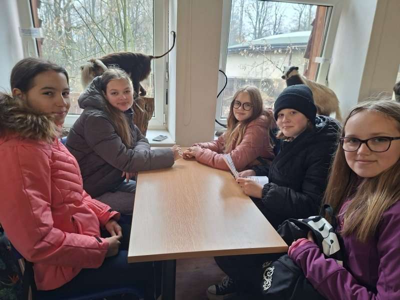 Velká cena zoo