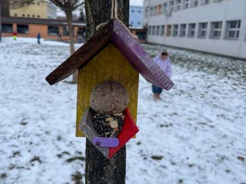 Zvířátka v zimě