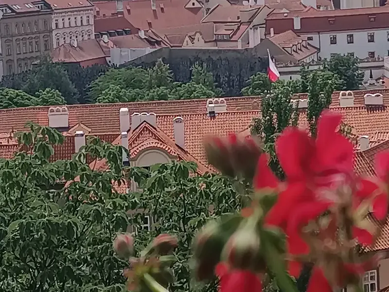 školní výlet