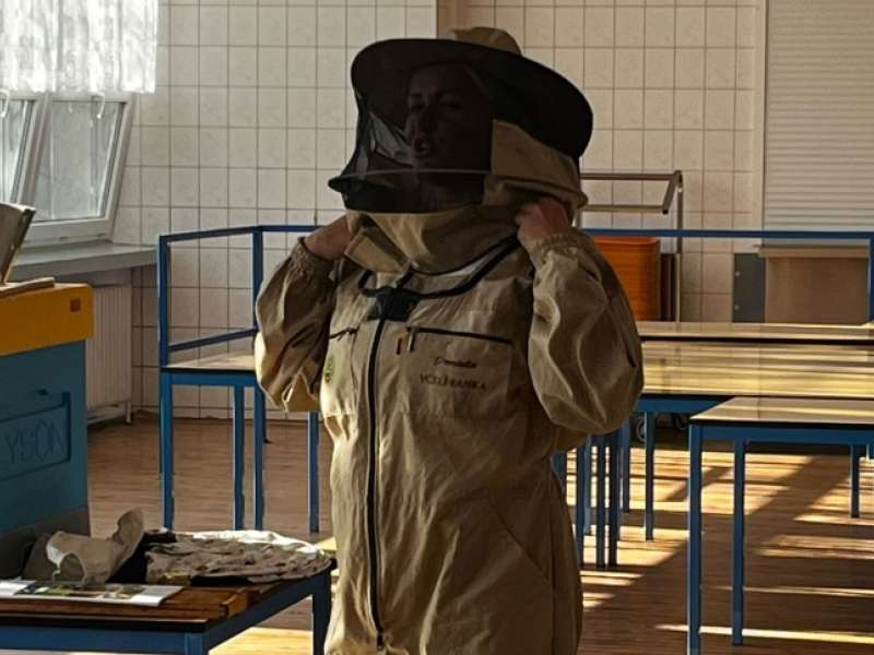 Beseda o včelách