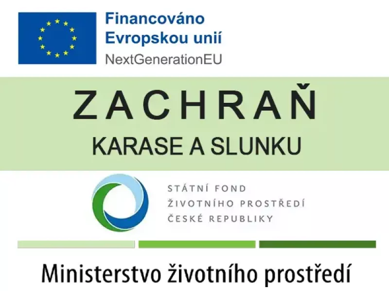 Zachraň karase a slunku