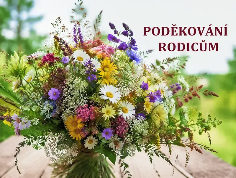 Poděkování rodičům