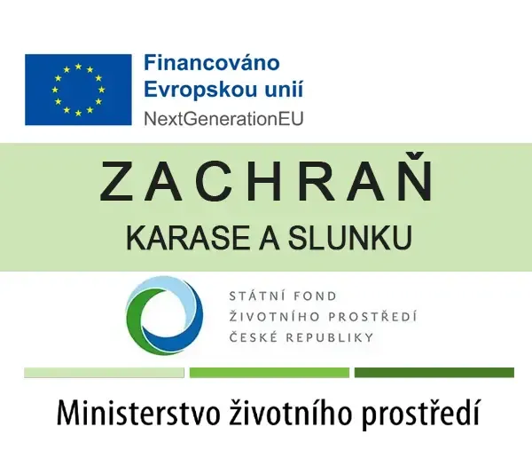 Zachraň karase a slunku