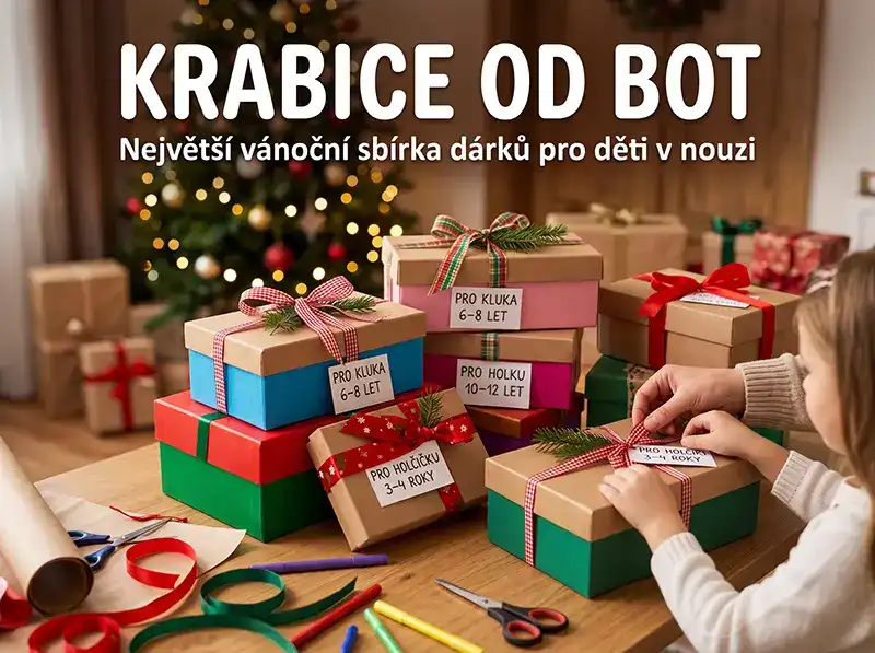 💝Krabice od bot