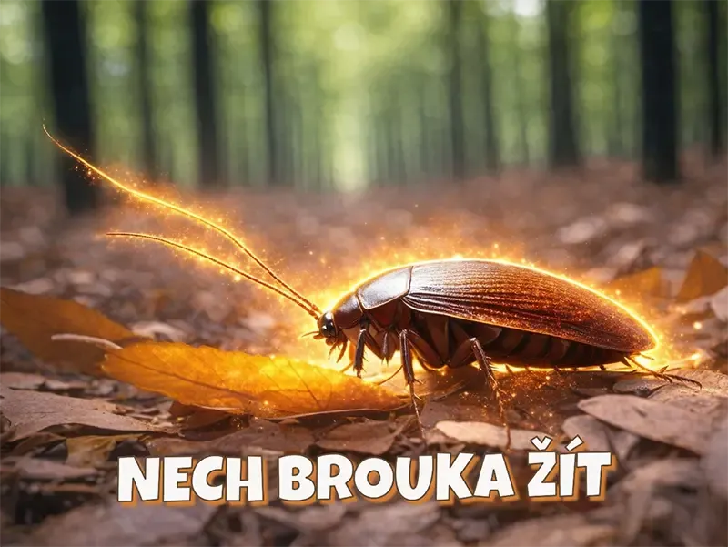 Nech brouka žít