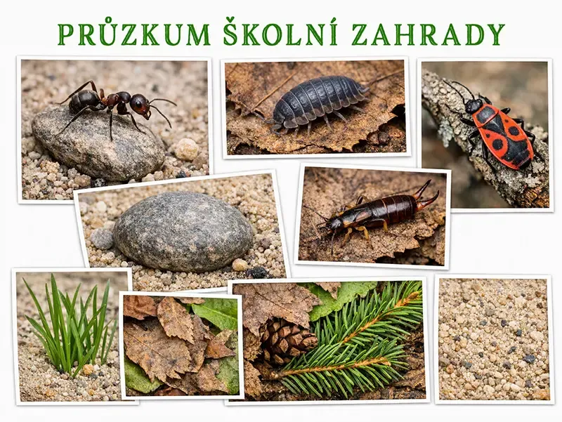 Zájmové dny