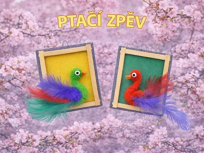 Kousek ptačího světa