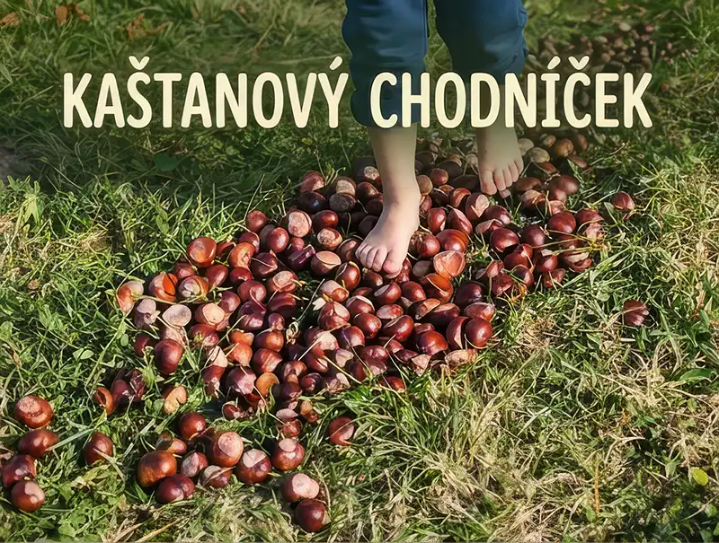 🪶Kaštanový chodníček
