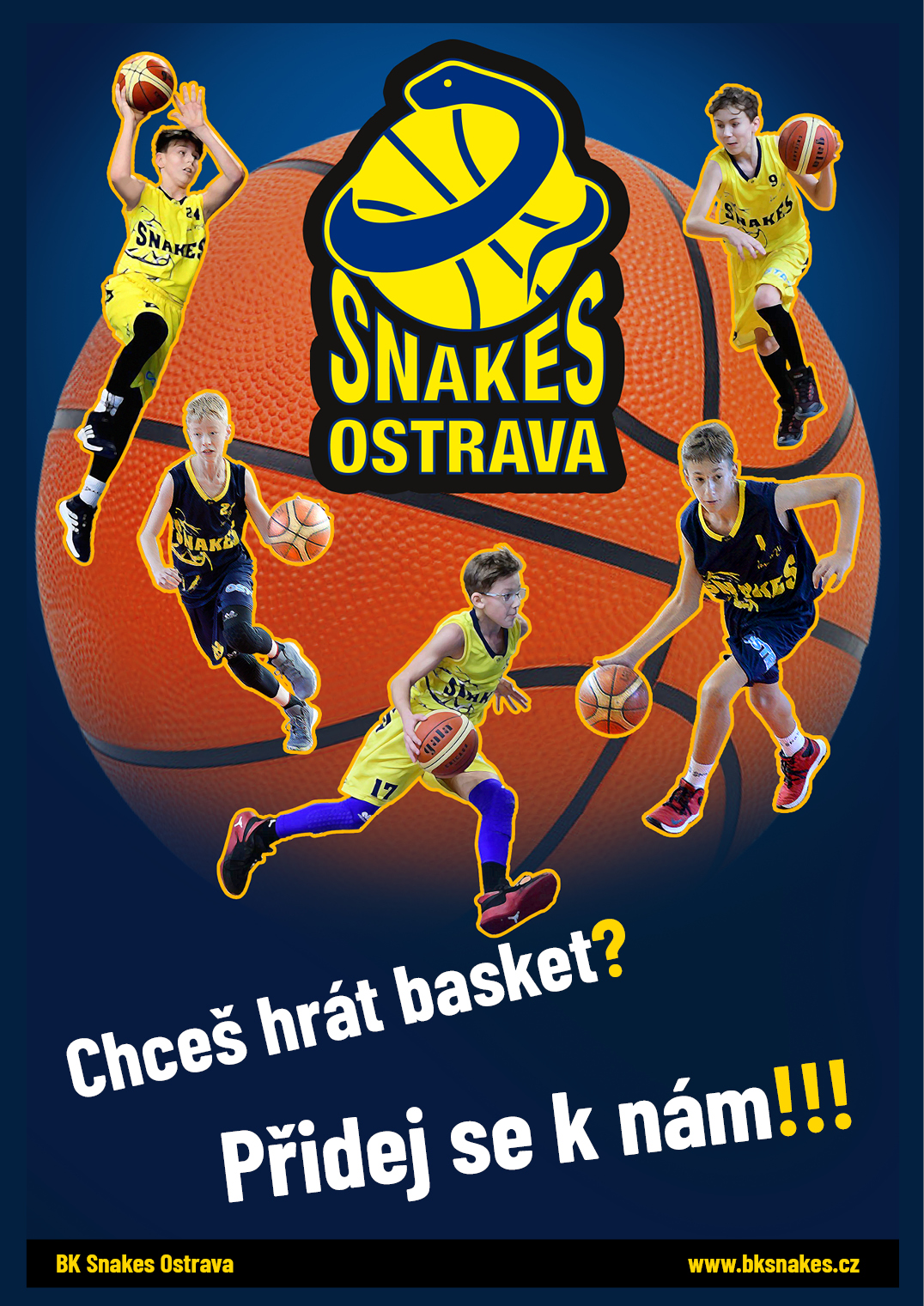 Snakes, Basketball